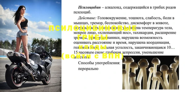 трава Надым
