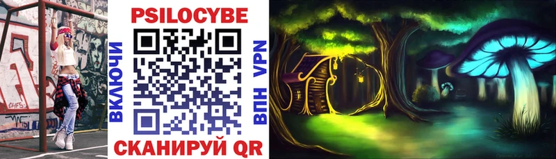 Псилоцибиновые грибы MAGIC MUSHROOMS как найти Кузнецк