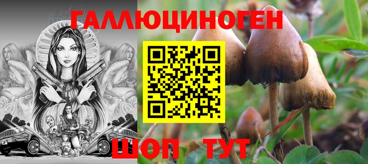 Псилоцибиновые грибы прущие грибы Кузнецк