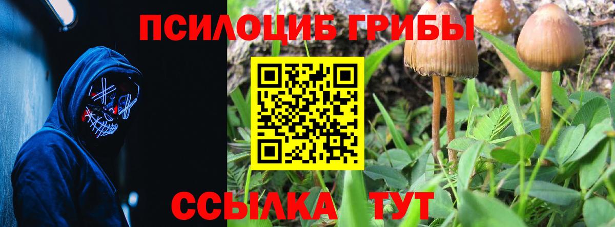 Кузнецк  Псилоцибиновые грибы прущие грибы  Вход с VPN 