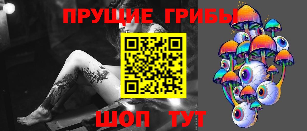 Псилоцибиновые грибы прущие грибы  цены наркотик  Кузнецк 